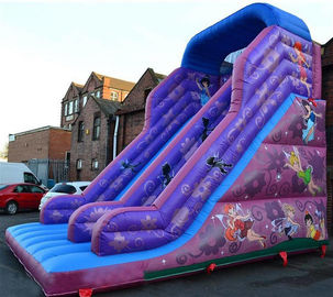 inflatable Dry Slide의 Faires 활주 자주색 거대한 쾌활한 활주 30ft 공주