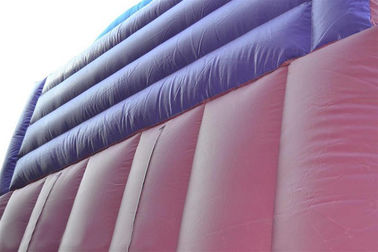inflatable Dry Slide의 Faires 활주 자주색 거대한 쾌활한 활주 30ft 공주