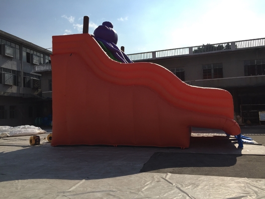 성 슬라이드를 뛰어넘는 성인 크기 0.9 밀리미터 PVC 부풀게할 수 있는 워터 슬라이드