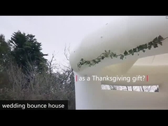 화이트 웨딩 점퍼 PVC 점프 캐슬 슬라이드와 볼 핏