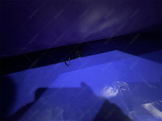 배리 보라색 펌프 수영장
