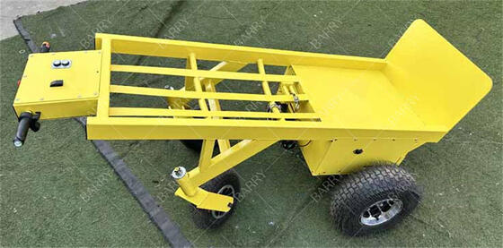 전기 동력 4륜 중량 수동 트럭 롤리 윙치와 함께