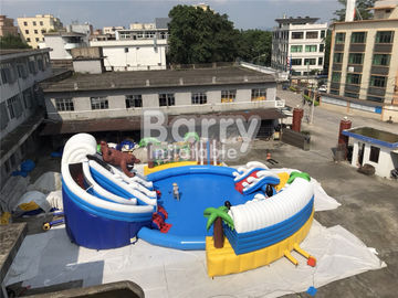 관례 PVC Aquapark 수영장을 가진 팽창식 물 공원 및 아이들을 위한 활주