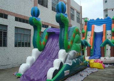 20 발 옥외 두 배 측을 가진 노후선 상업적인 팽창식 활주